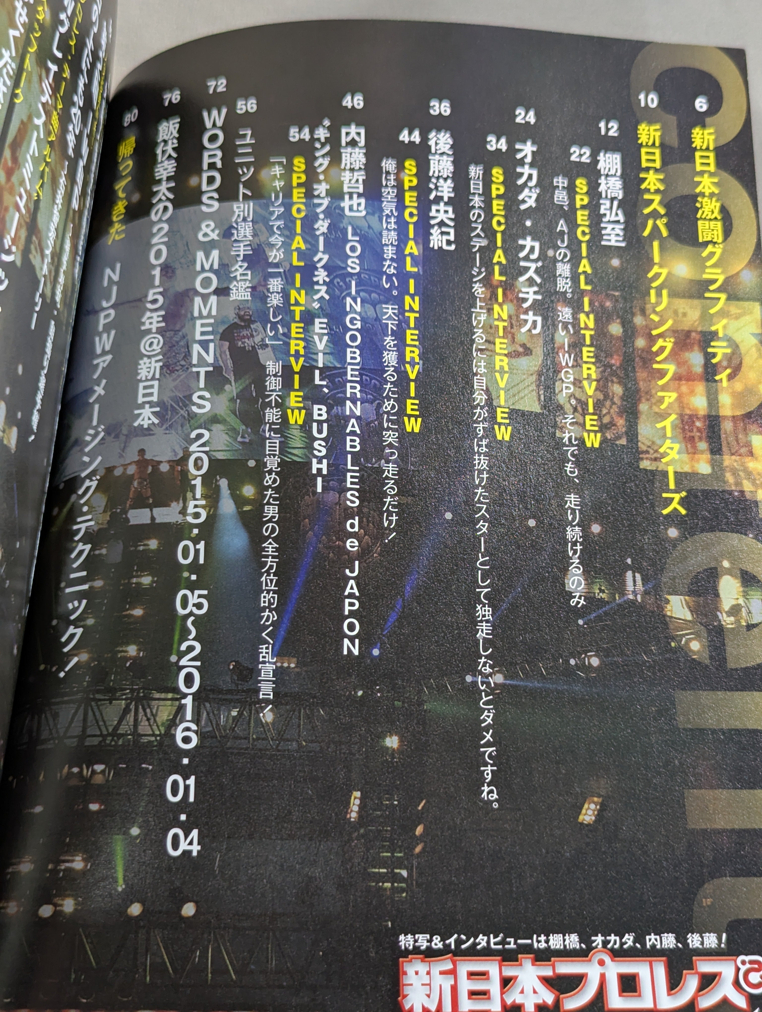 新日本プロレスぴあ2016 – 闘道館