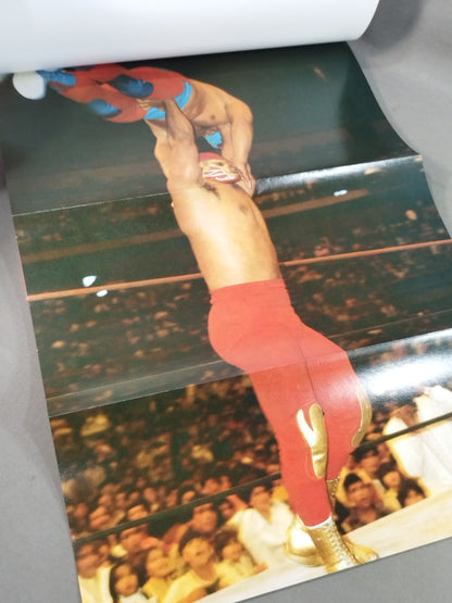 Brilliant Warrior Lucha Libre Guide