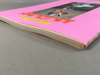 Brilliant Warrior Lucha Libre Guide