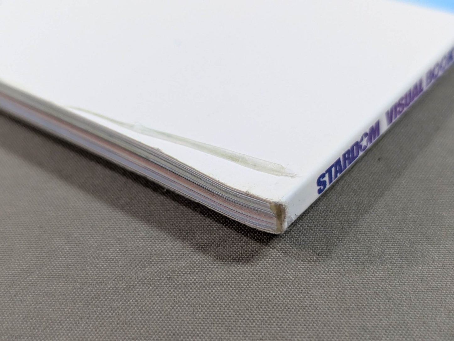 STARDOM VISUAL BOOK1 Bikiniing