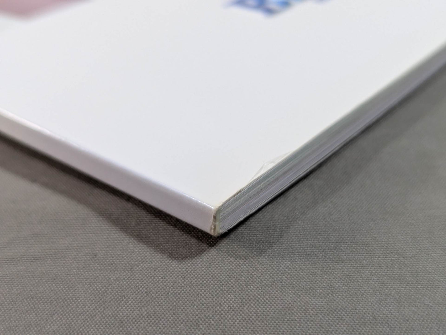 STARDOM VISUAL BOOK1 Bikiniing