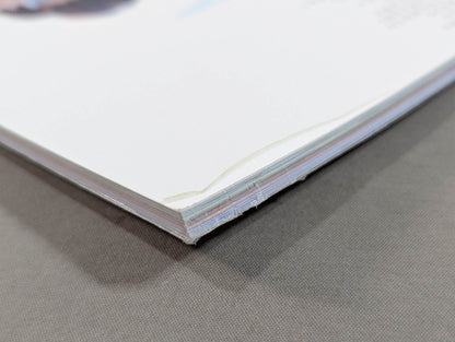 STARDOM VISUAL BOOK1 Bikiniing