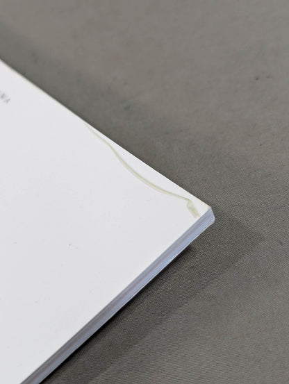 STARDOM VISUAL BOOK1 Bikiniing