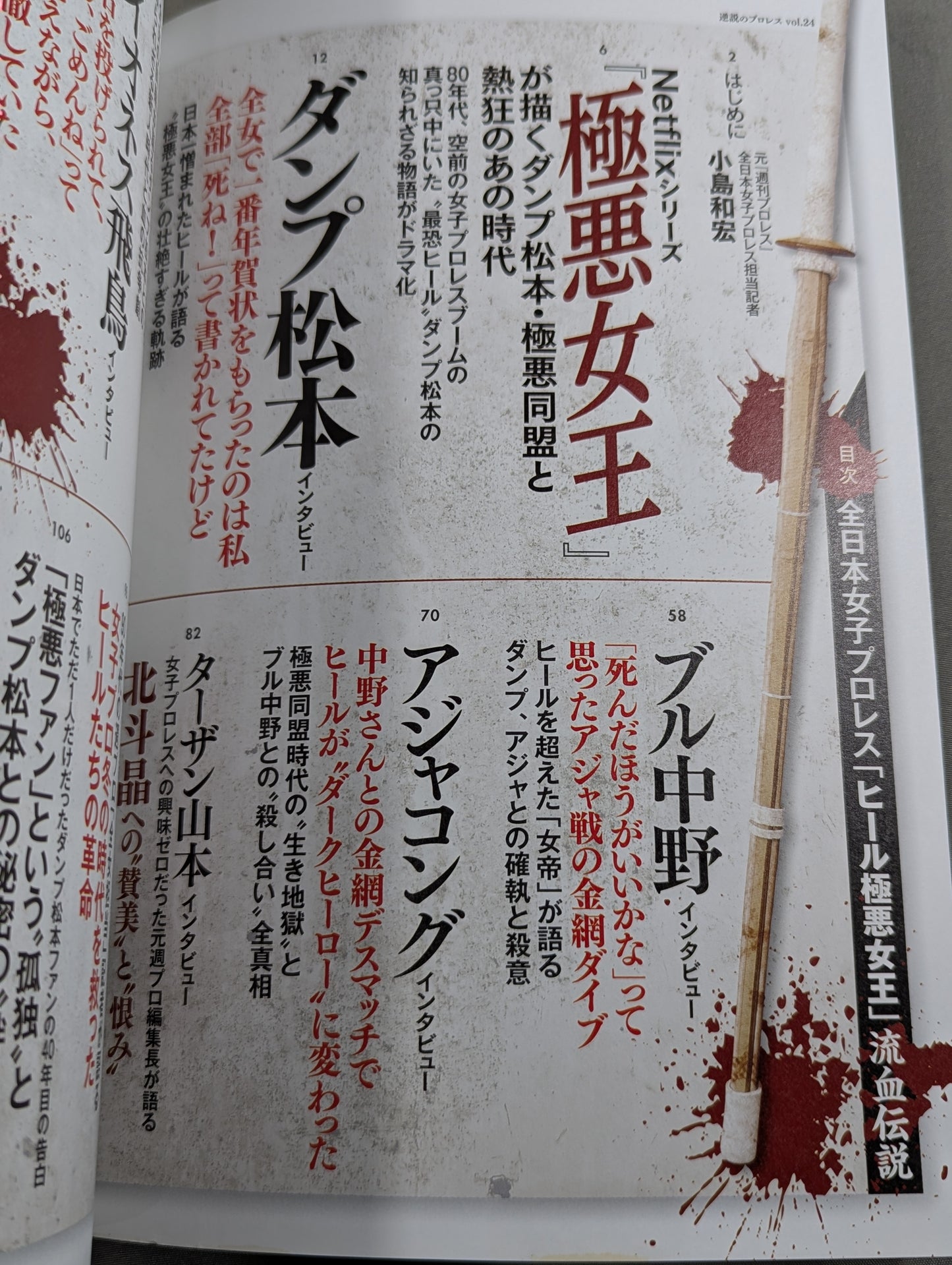 Series Paradoxical Pro Wrestling  Vol.24 All Japan Women\'s Pro Wrestling  "Villainous Heel Queen" Biography