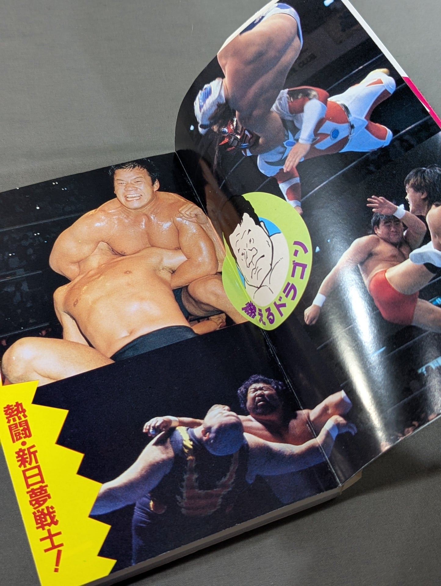 The latest Pro Wrestling Encyclopedia (2) Fighting spirit☆ New Japan Pro Wrestling 