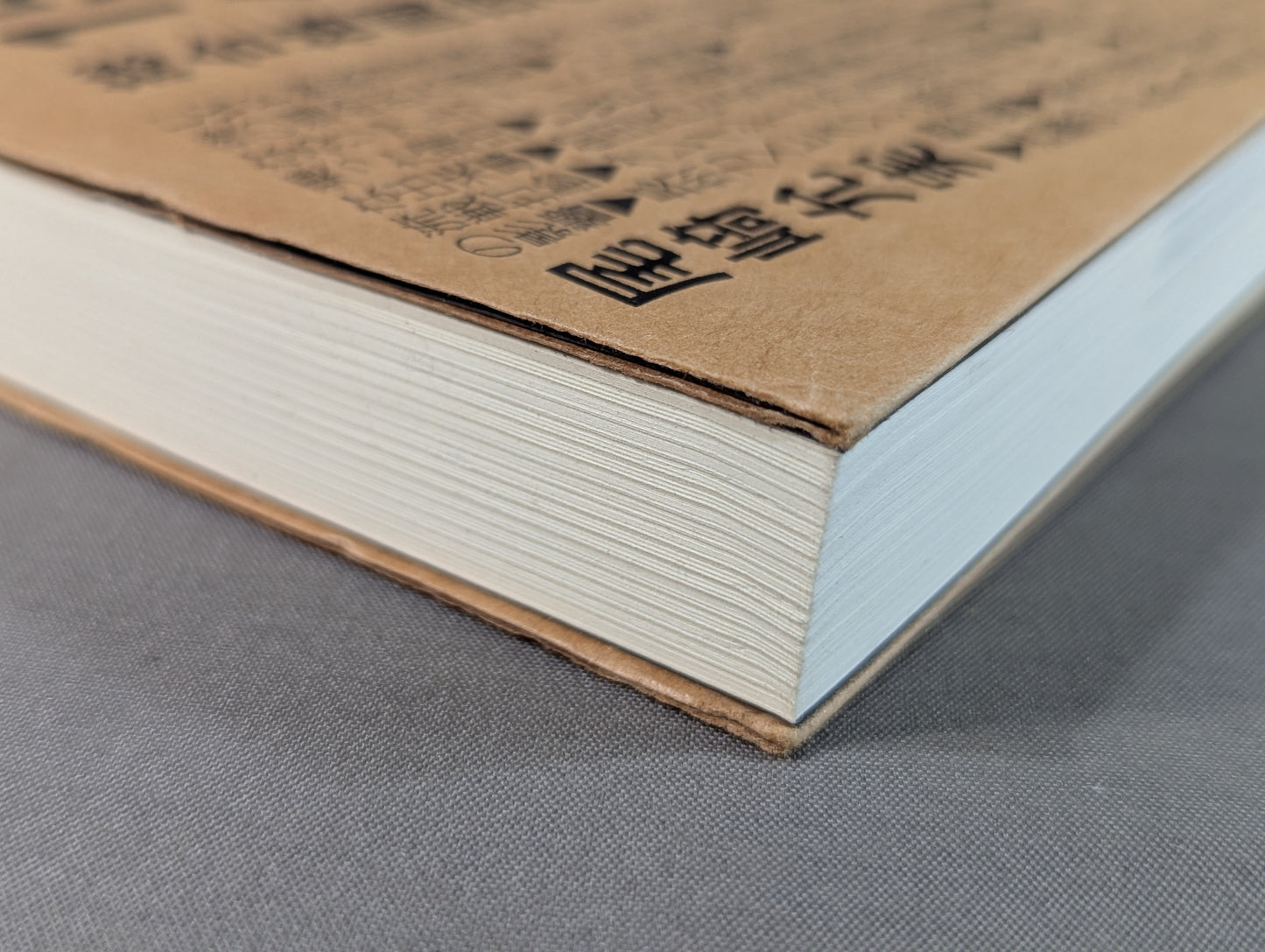 Pancrase 15 Years of Truth: A Behind-the-Scenes Memoir of Mixed Martial Arts.