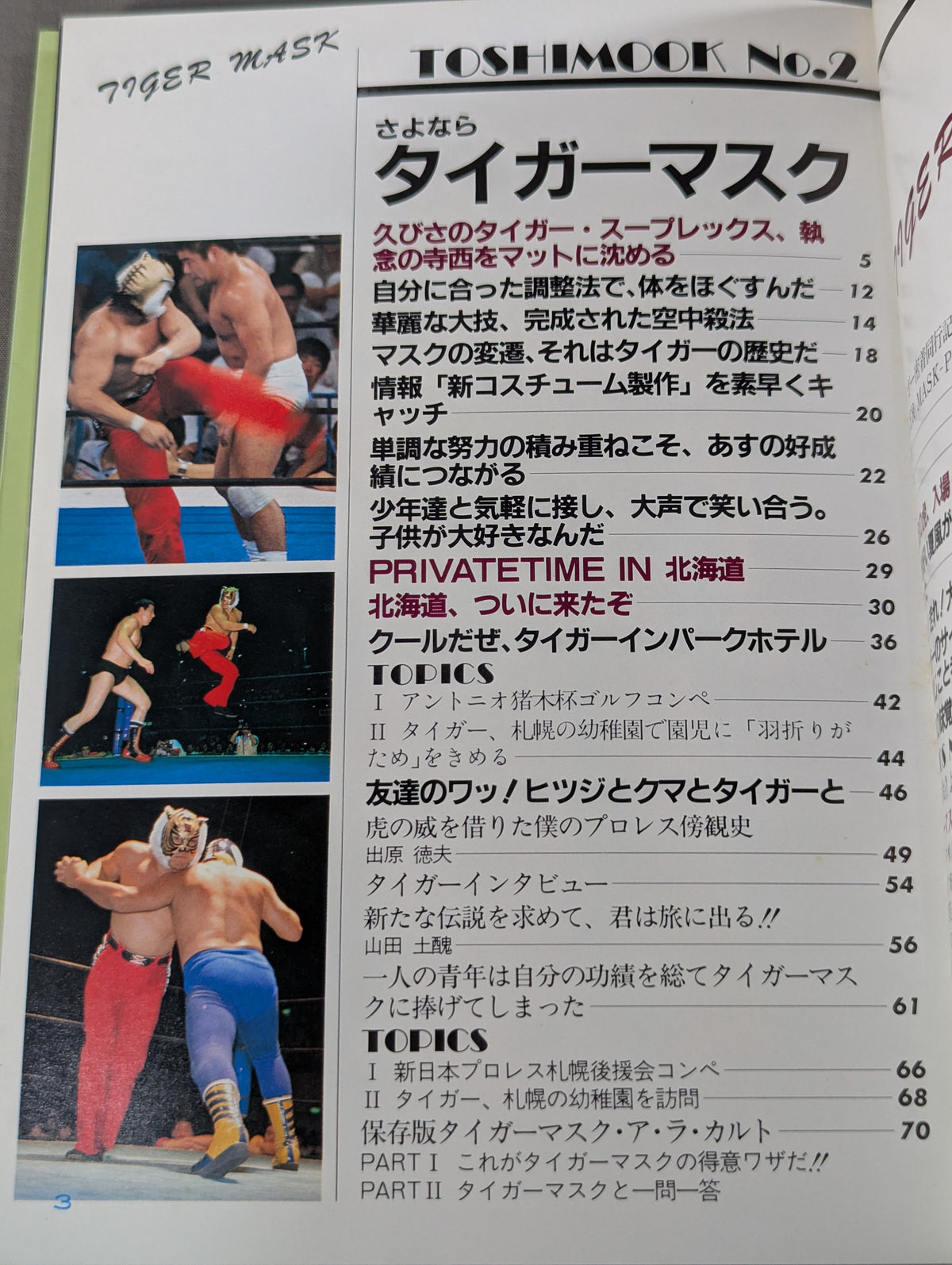 Goodbye Tiger Mask