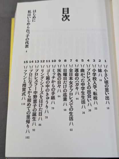 金網の青春
