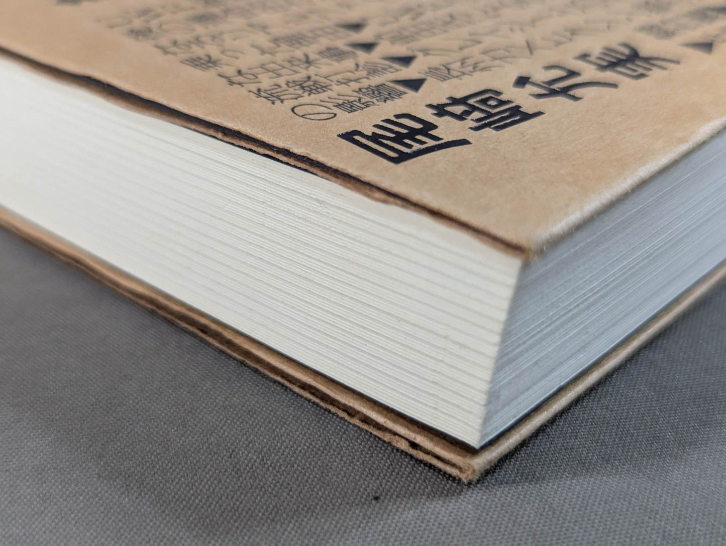 パンクラス15年の真実 総合格闘技の舞台裏回顧録