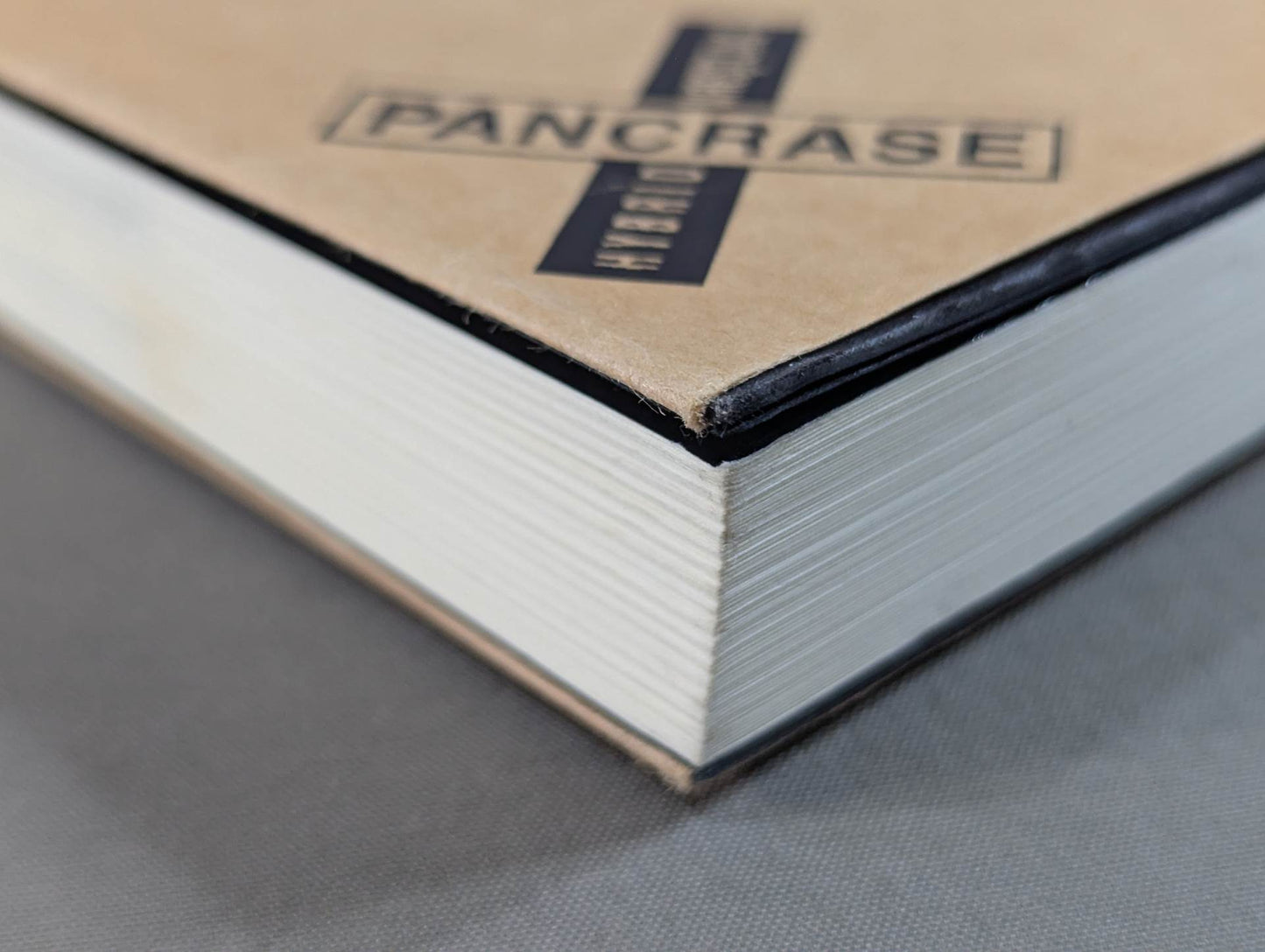 パンクラス15年の真実 総合格闘技の舞台裏回顧録