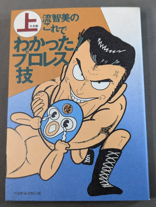 流智美のこれでわかった!プロレス技 上半身編