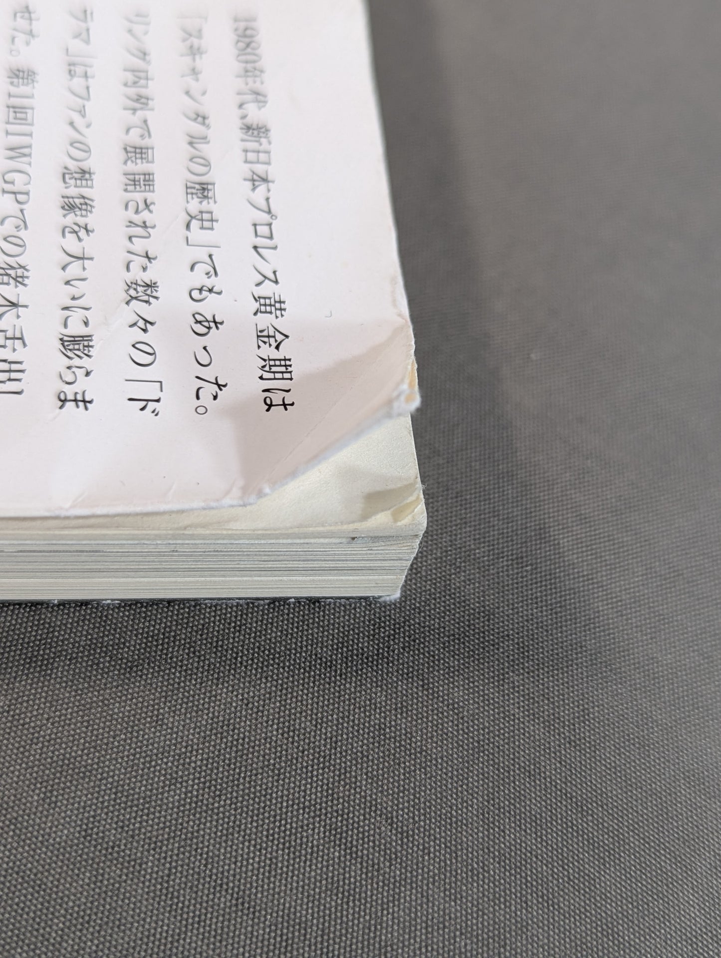 新日本プロレス 封印された10大事件