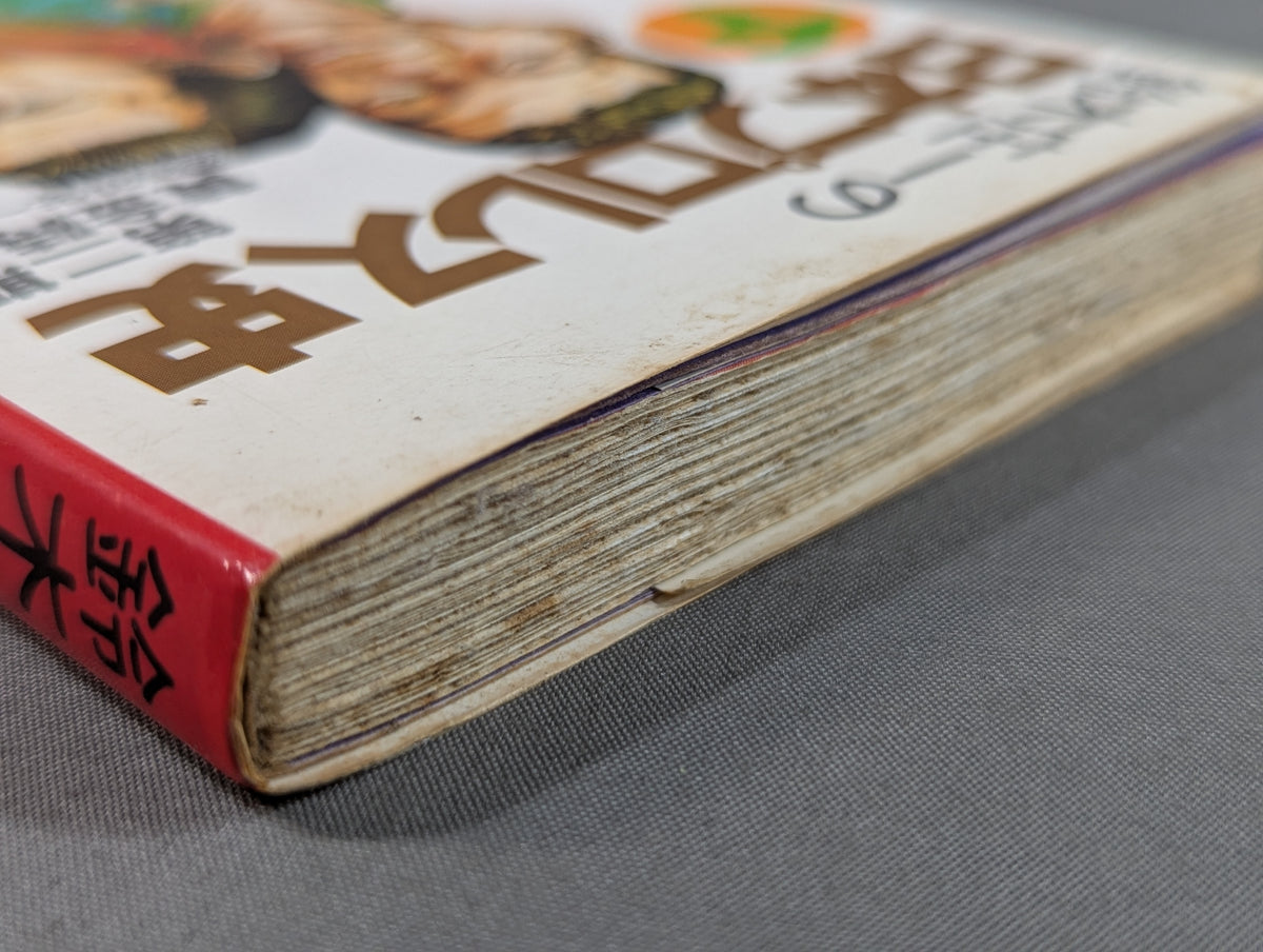 Shoichi Suzuki's History of Japan Pro Wrestling: The Second Golden Age