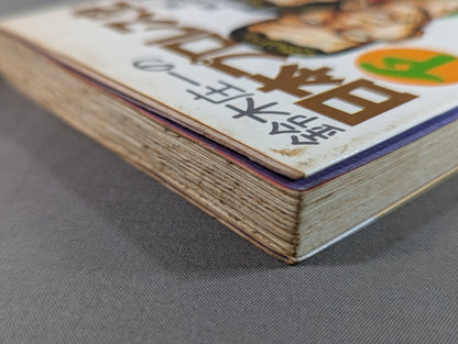 Shoichi Suzuki's History of Japan Pro Wrestling: The Second Golden Age