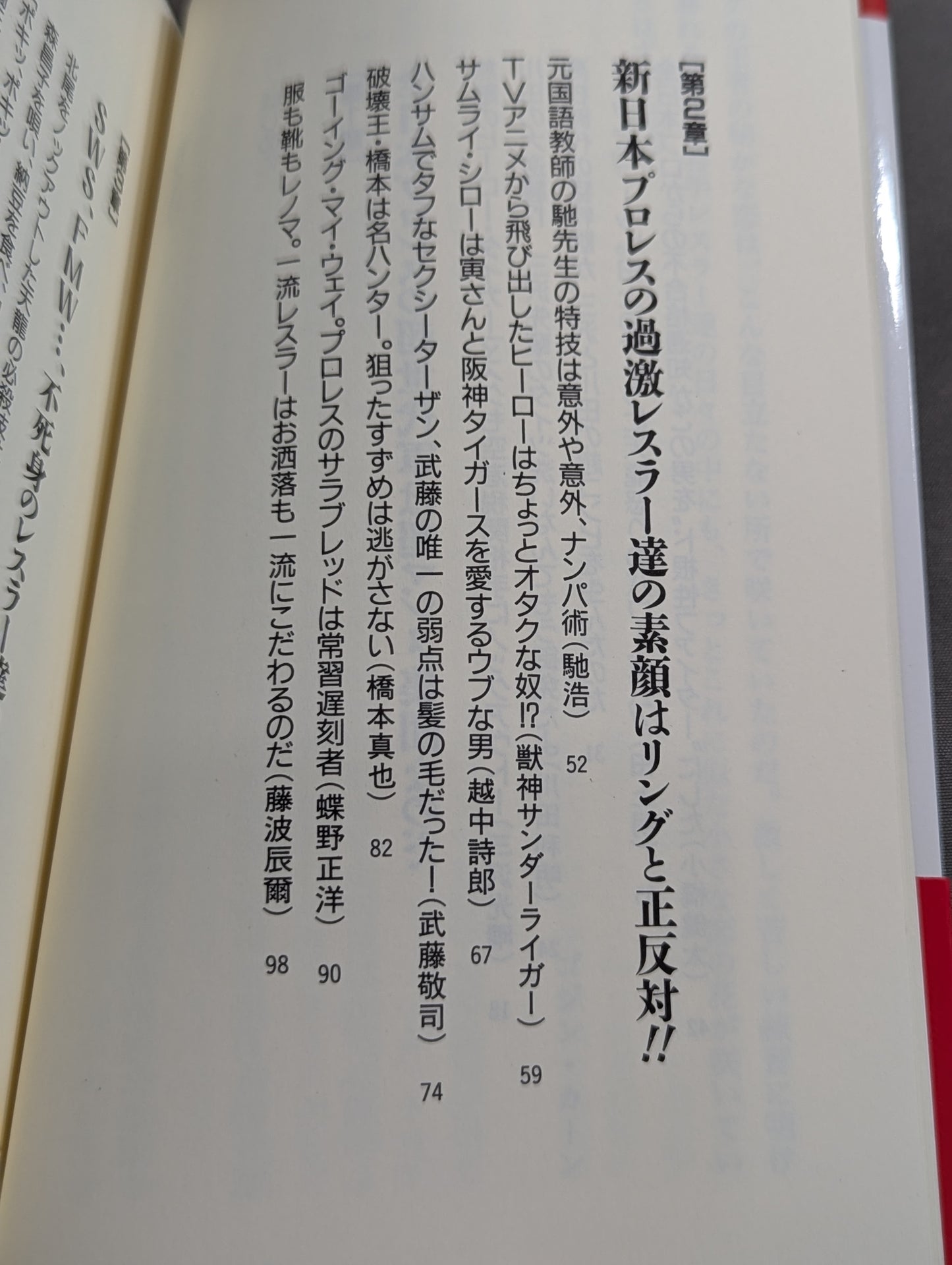 How to Watch Pro Wrestling 10 Times More Fun Part II.