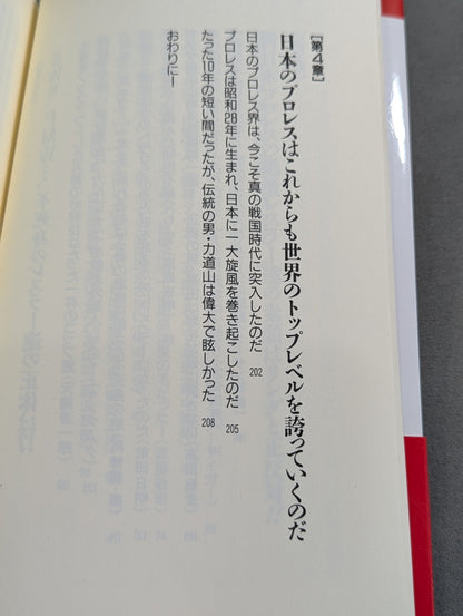 How to Watch Pro Wrestling 10 Times More Fun Part II.