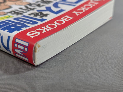 How to Watch Pro Wrestling 10 Times More Fun Part II.