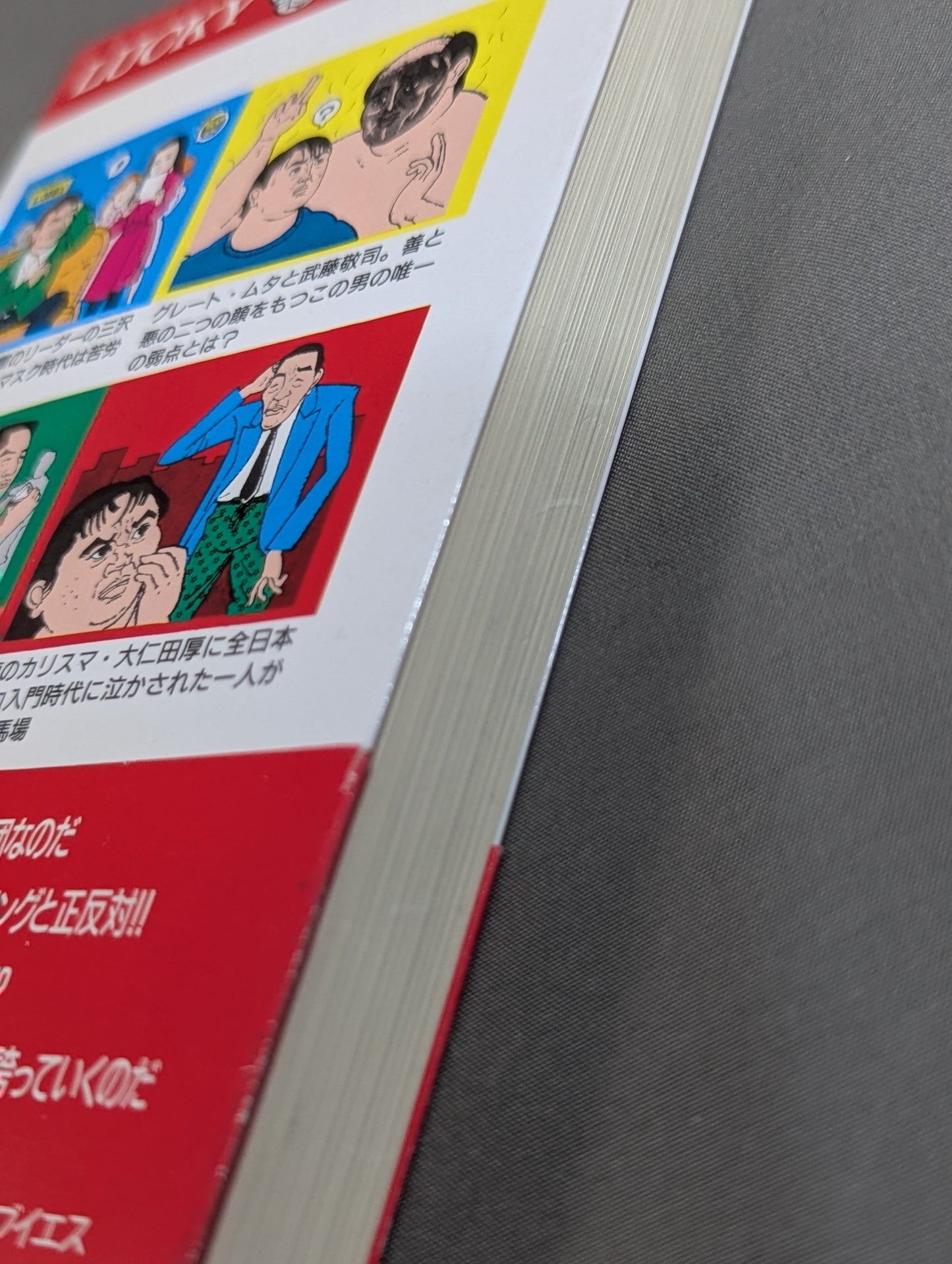 How to Watch Pro Wrestling 10 Times More Fun Part II.