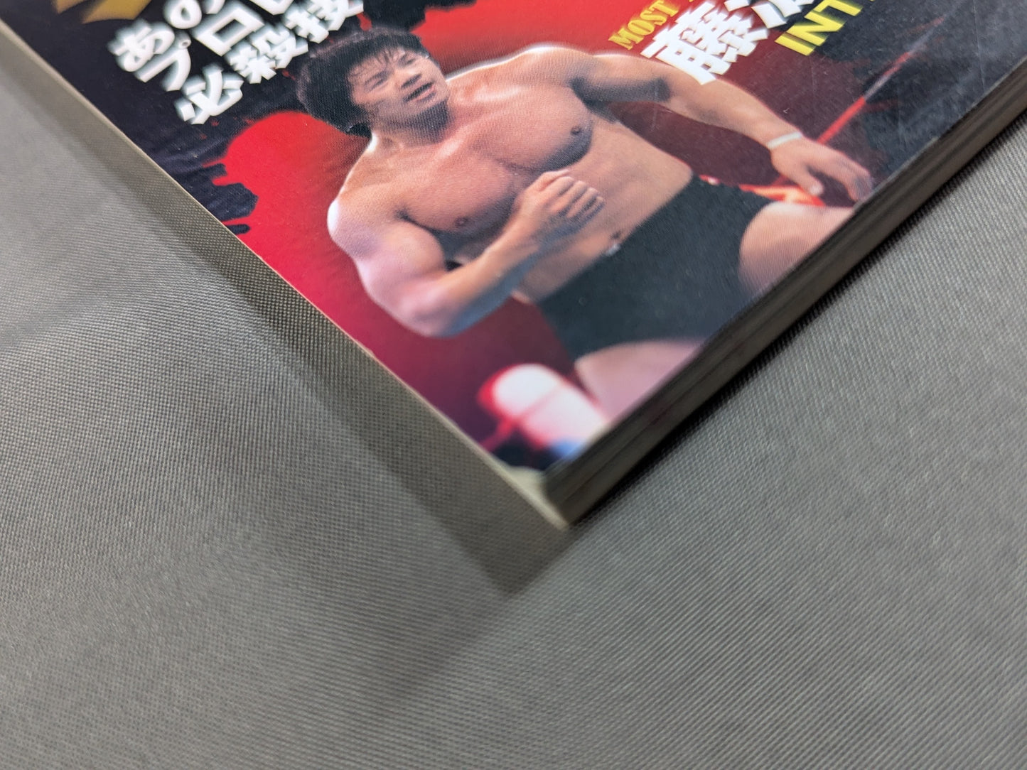 Excavation! Japan Pro Wrestling 60 Years of History Awesome Techniques: The Special Moves That Created the Era