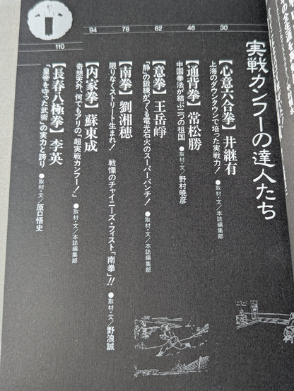 格闘王9 実戦カンフー読本 功夫天下