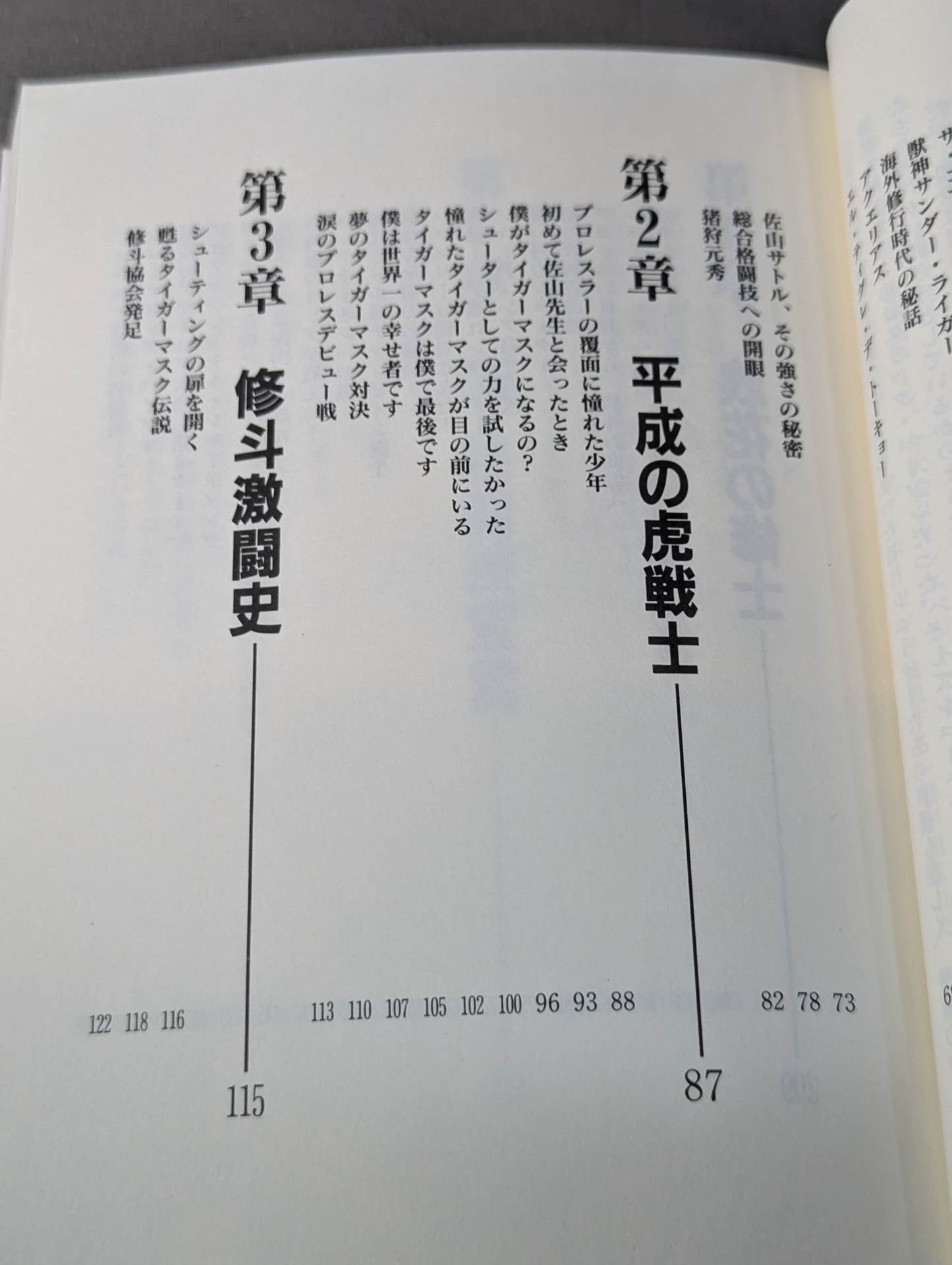 Satoru Sayama  Pro Wrestling  / Shooting / Bari Tudo