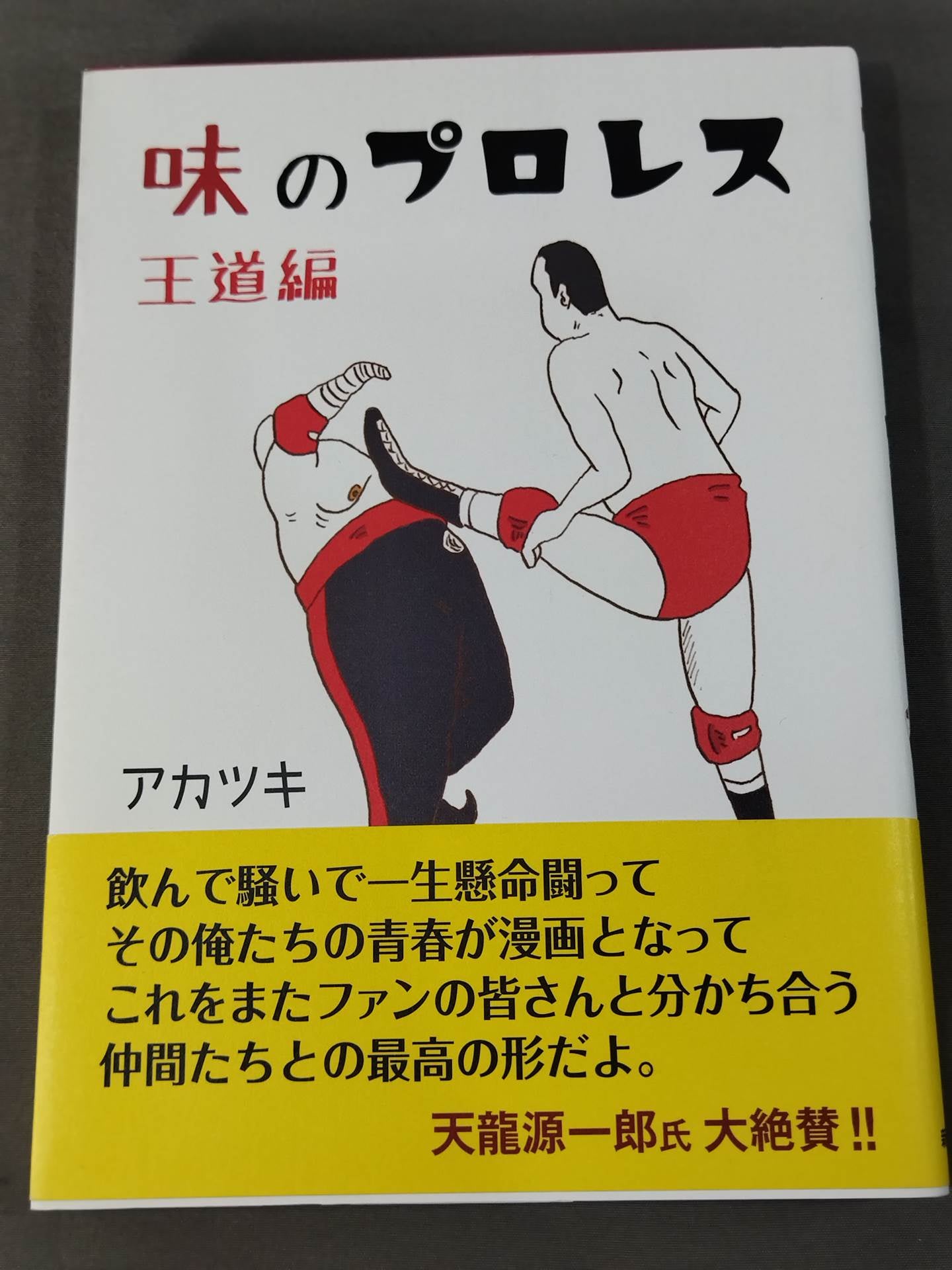 Pro Wrestling  of Taste