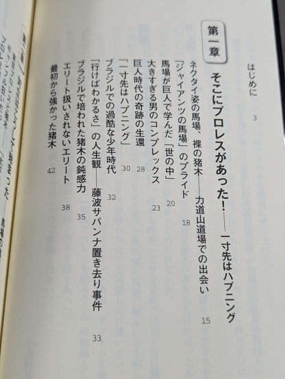 Let's talk more about Baba and Inoki !