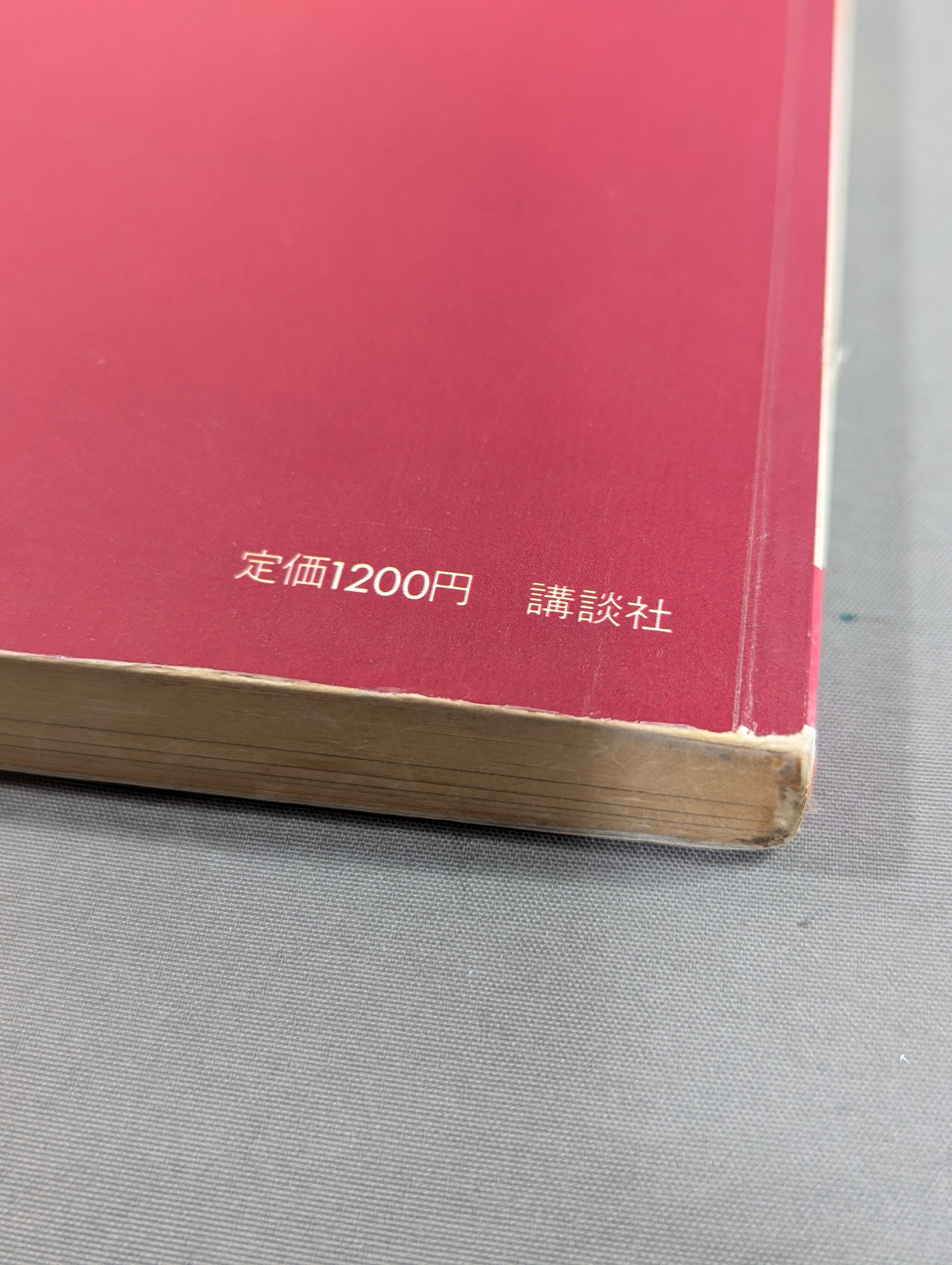 実戦!芦原カラテ3 基礎編 – 闘道館