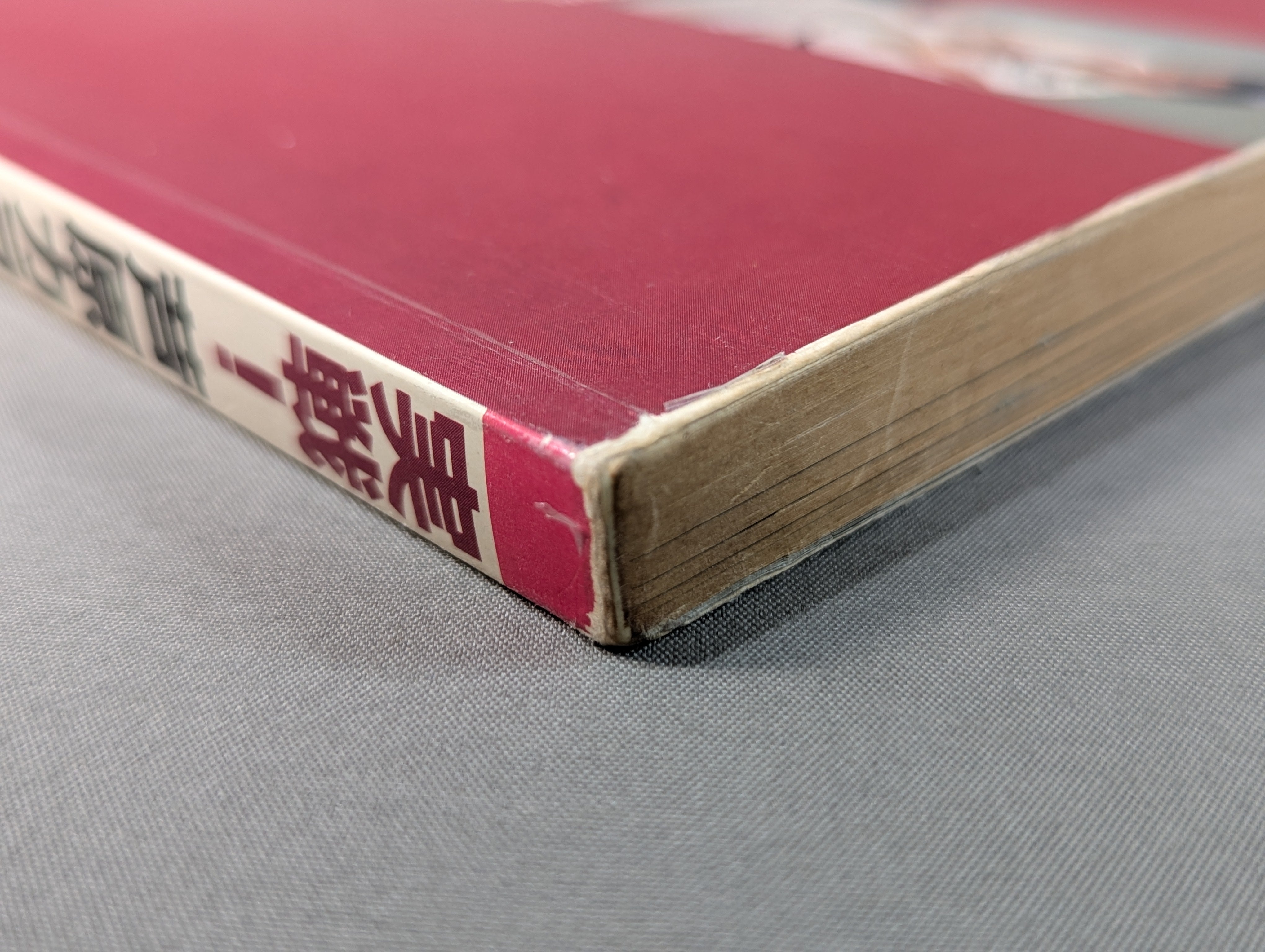 実戦!芦原カラテ3 基礎編 – 闘道館