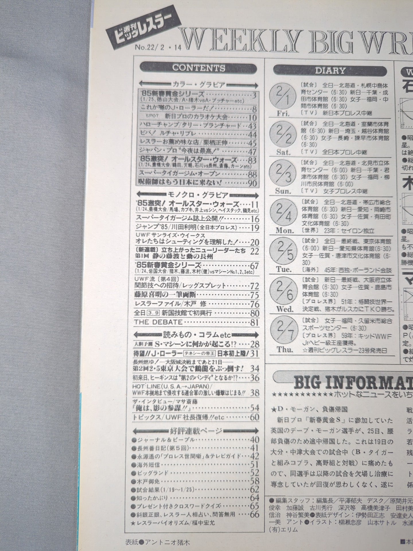 週刊ビッグレスラー22