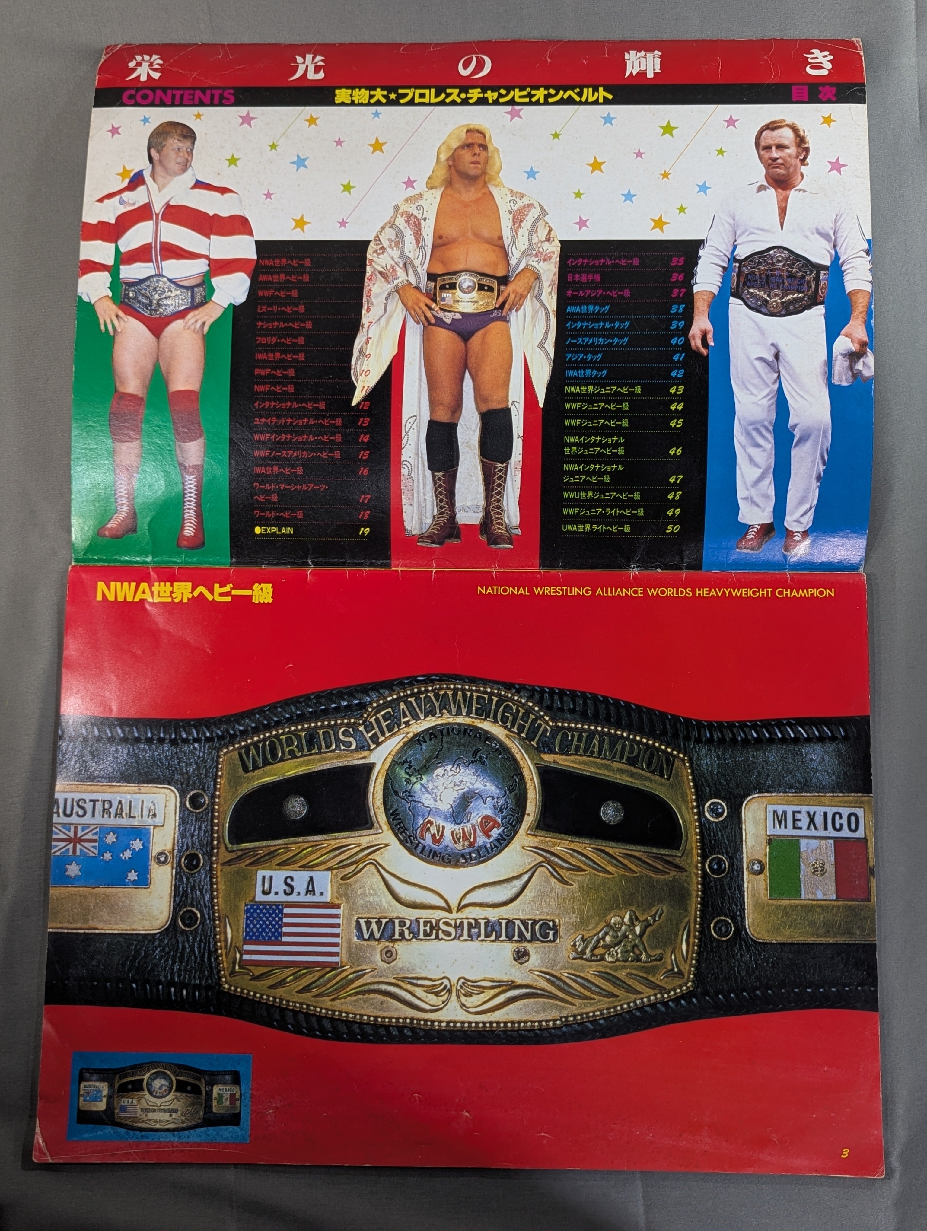 栄光の輝き　プロレスチャンピオンベルト　新日本プロレス　全日本プロレス ☆実物大☆ 栄光の輝き プロレスチャンピオンベルト – 闘道館