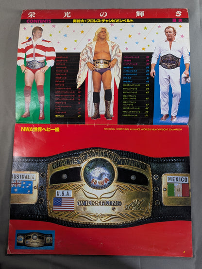★実物大★ 栄光の輝き プロレスチャンピオンベルト