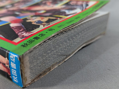 Pro Wrestling Encyclopedia: All the World's Star Wrestlers Appear