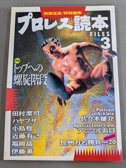 Pro Wrestling  Reader Files Vol.3