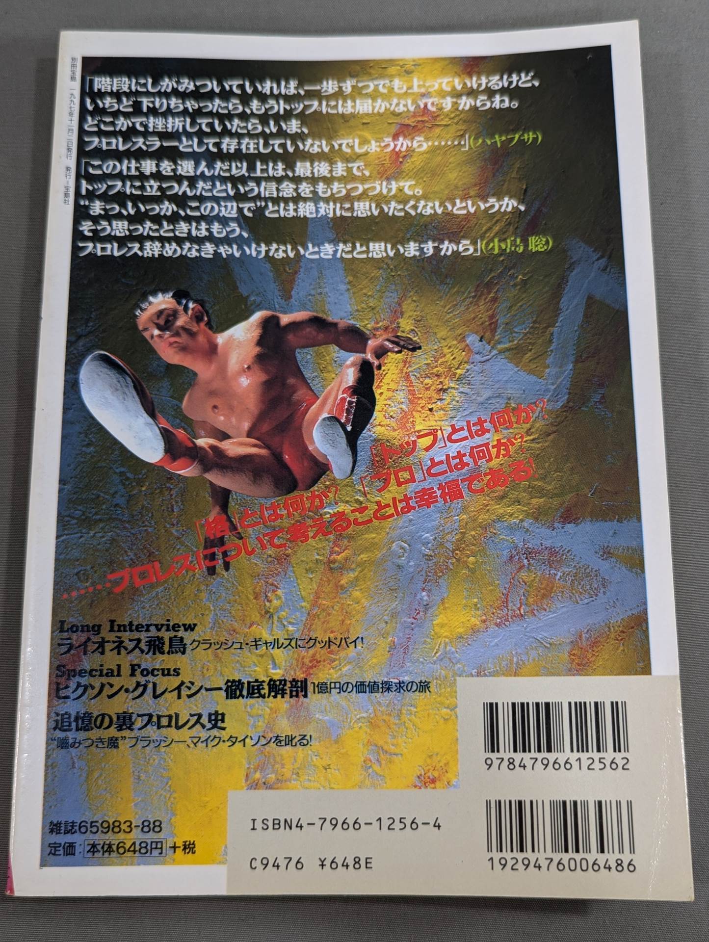 Pro Wrestling  Reader Files Vol.3