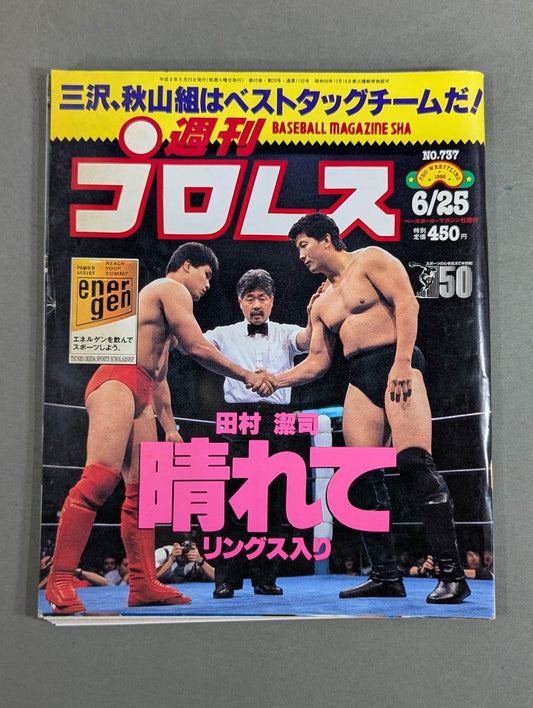 Weekly Pro Wrestling 737