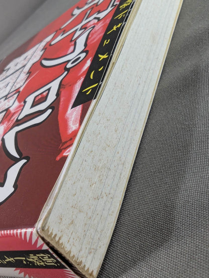 衝撃ドキュメント 女子プロレス崩壊 危機一髪