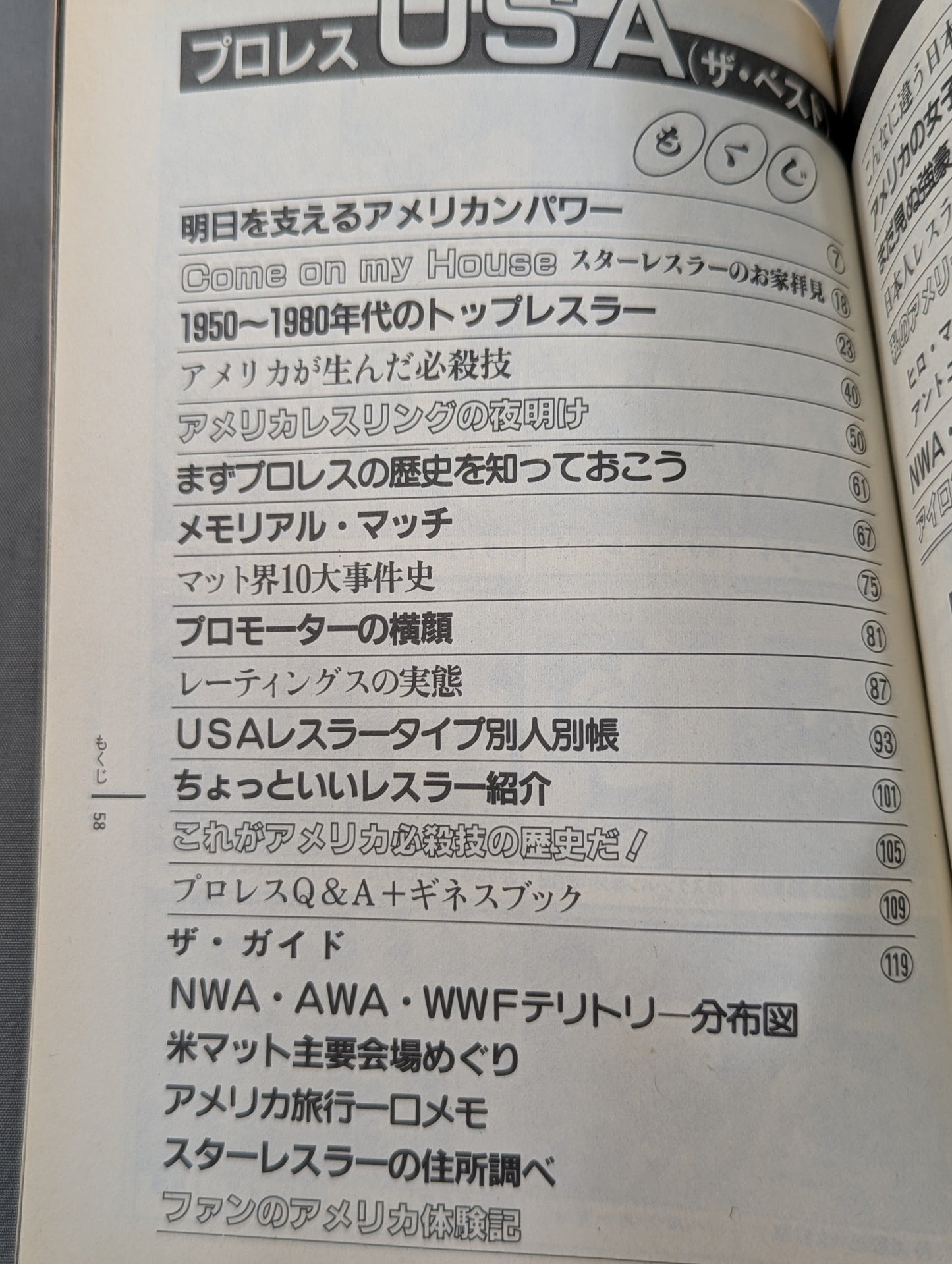 プロレス・オールガイドブック④ プロレスリングUSAザ・ベスト