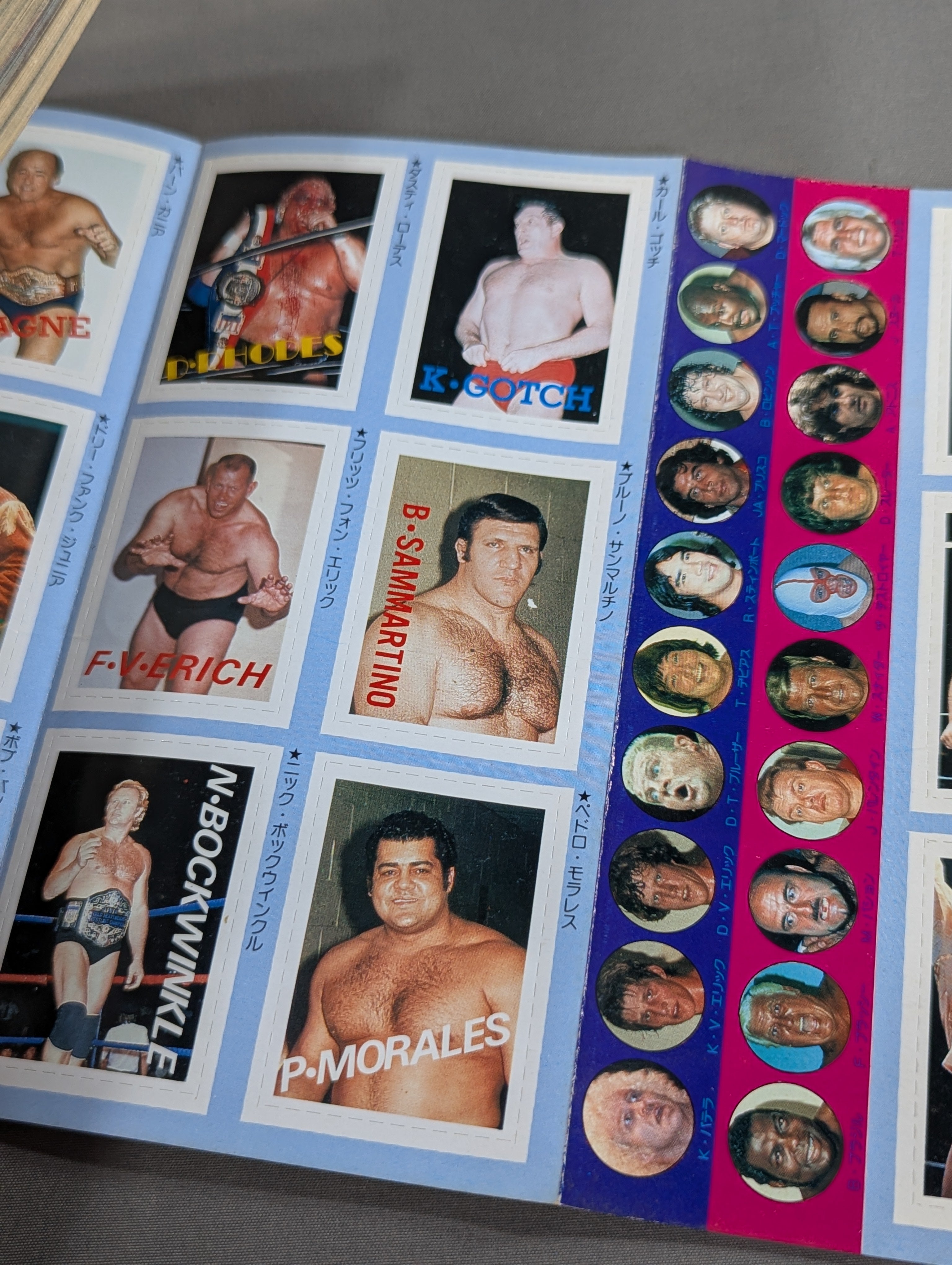 プロレス・オールガイドブック④ プロレスリングUSAザ・ベスト – 闘道館
