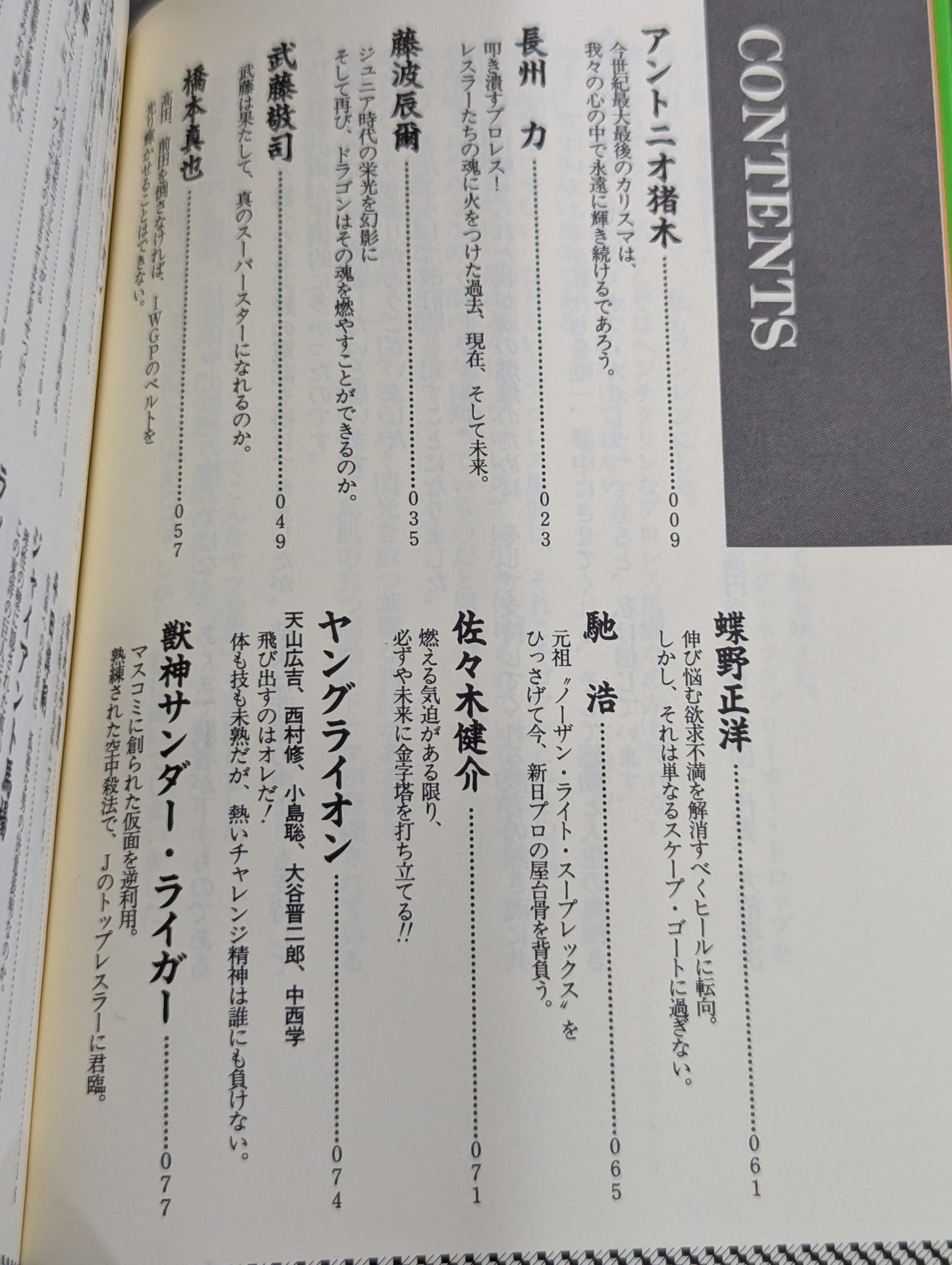 新プロレスラーってこんなヤツ全集