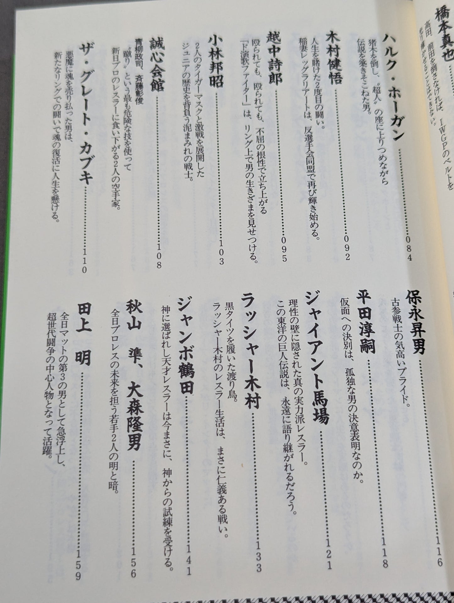 新プロレスラーってこんなヤツ全集