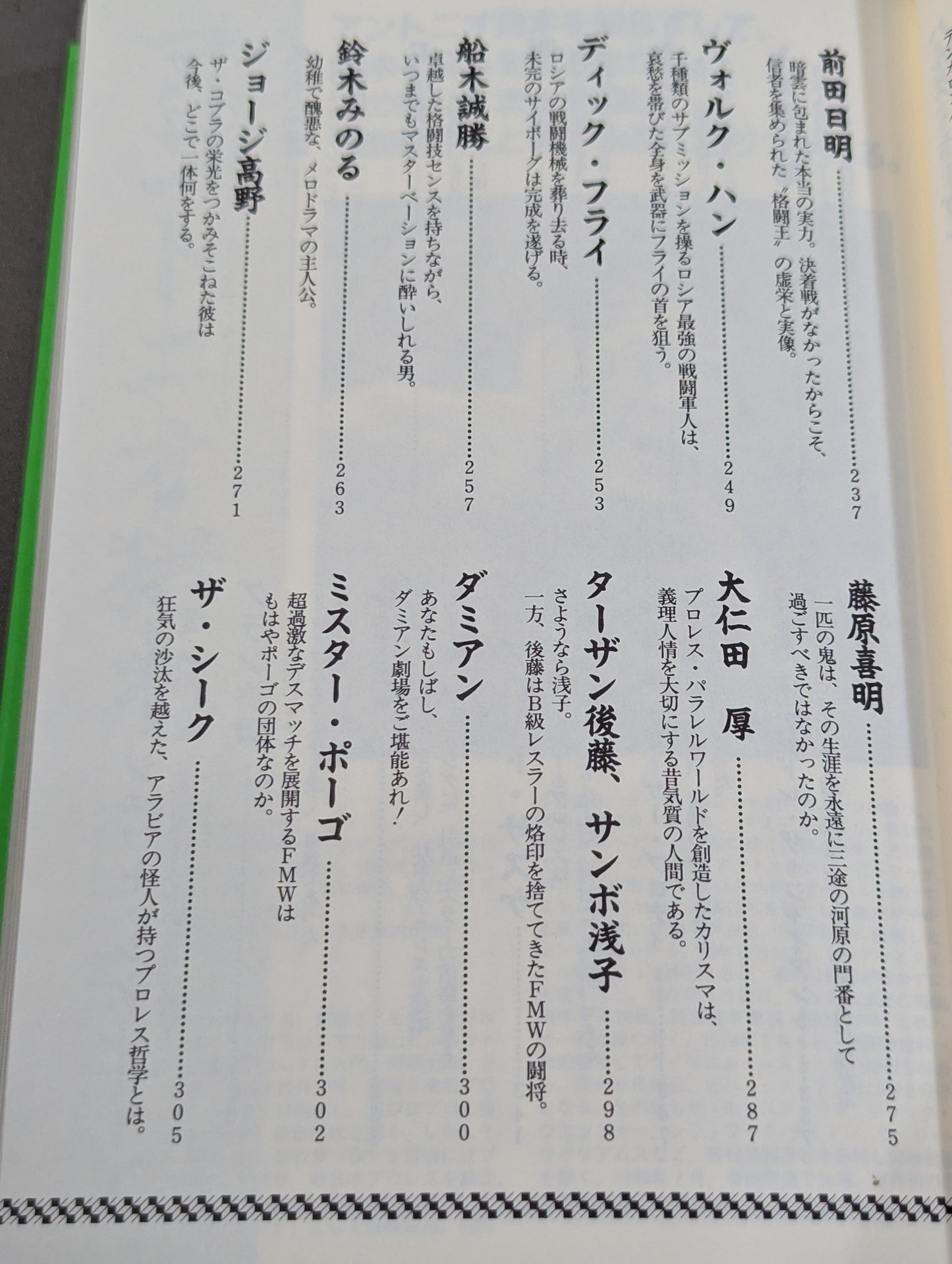 新プロレスラーってこんなヤツ全集