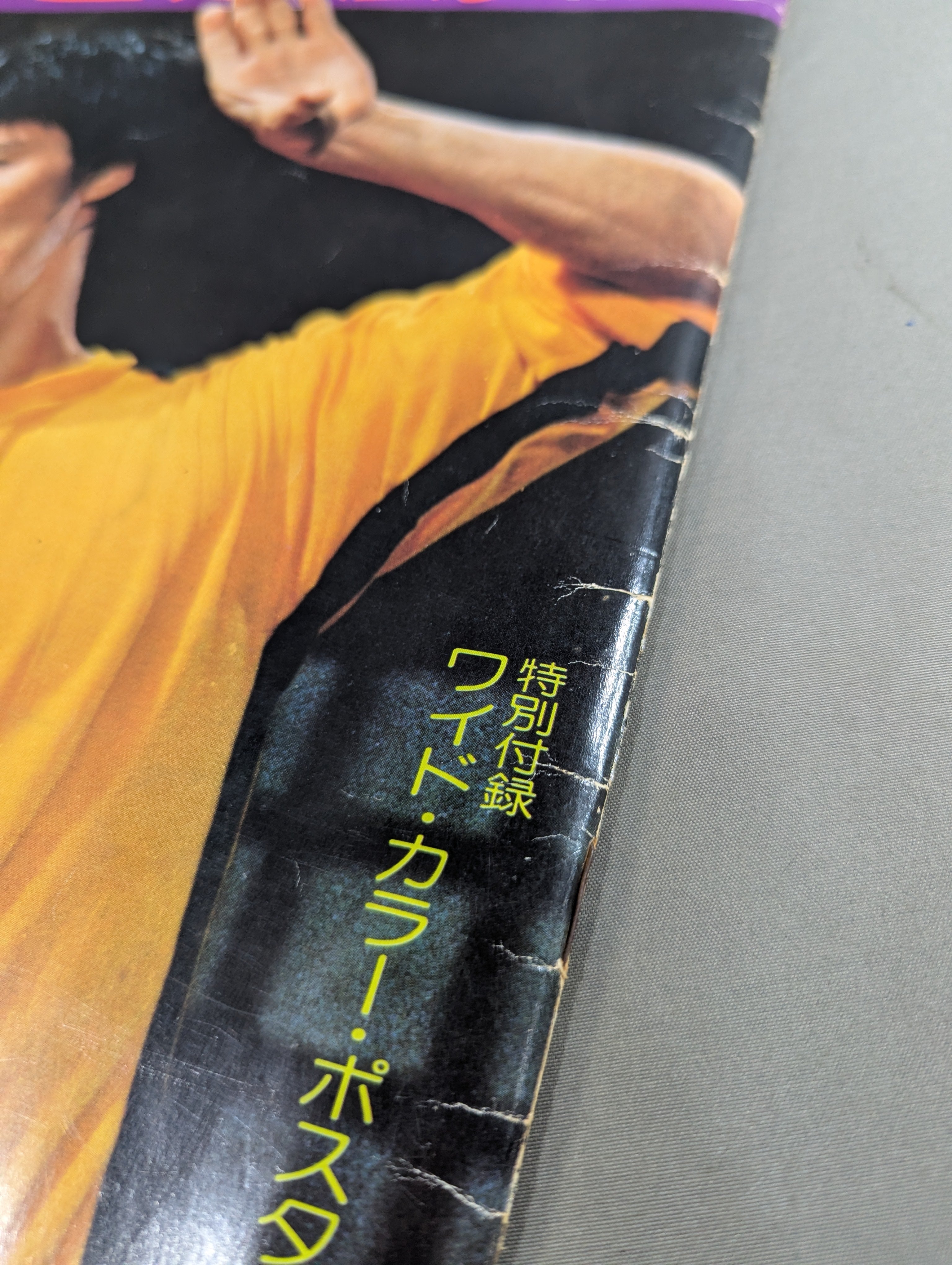 スクリーン特別増刊 ブルース・リー 死亡遊戯 ワイド特集号 – 闘道館