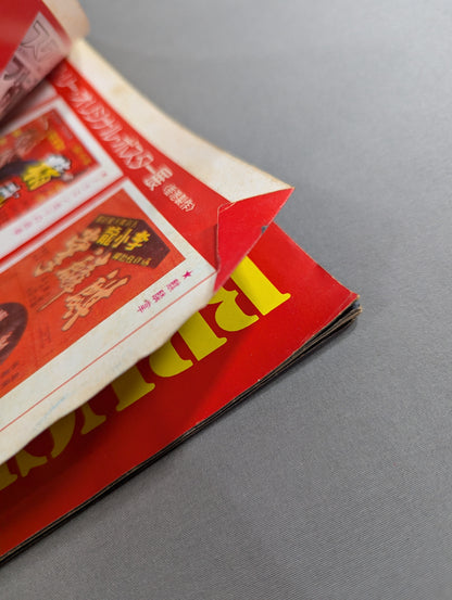 Screen Special Extra Bruce Lee  Death Game Wide Special Issue