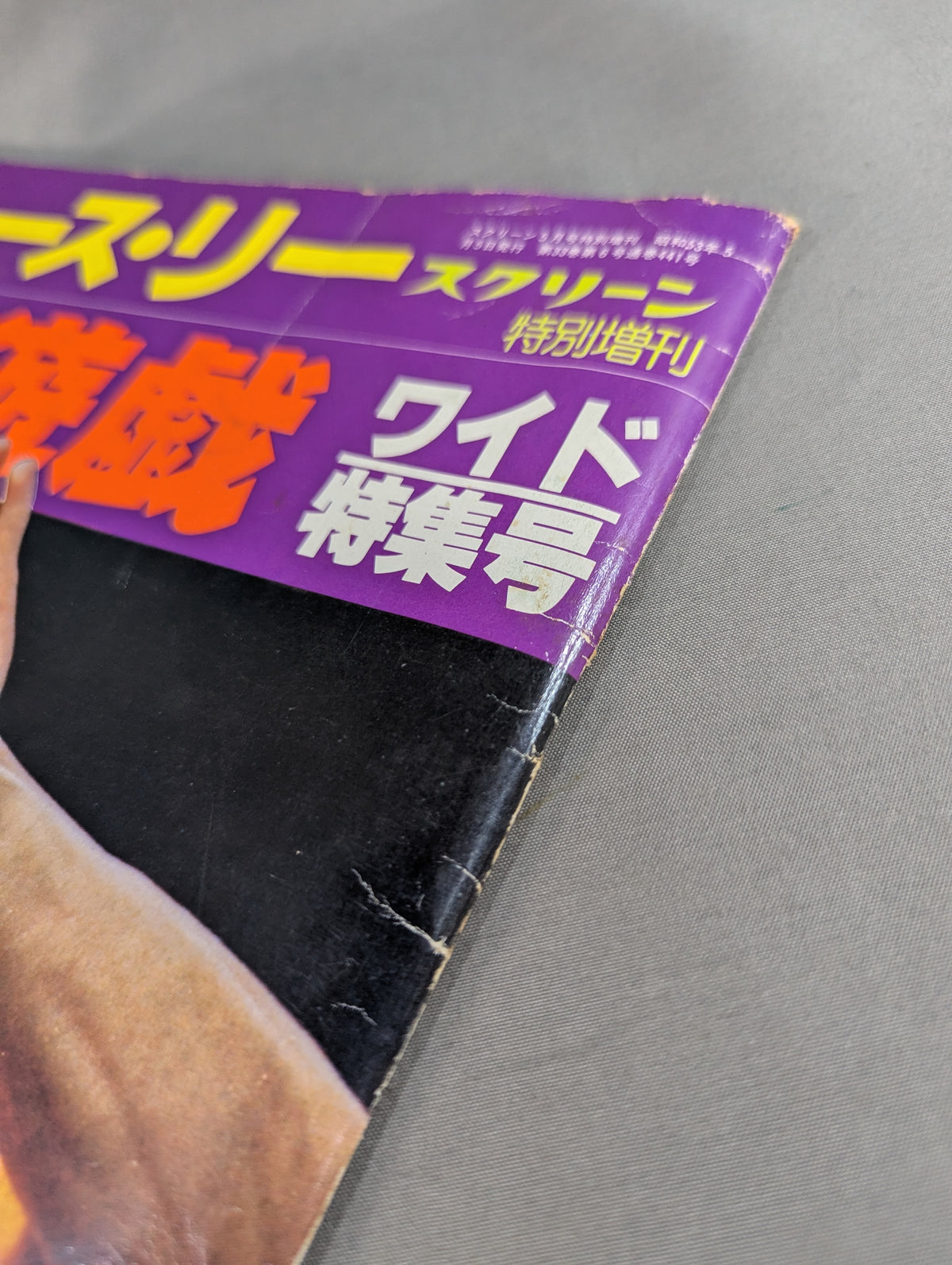 Screen Special Extra Bruce Lee  Death Game Wide Special Issue