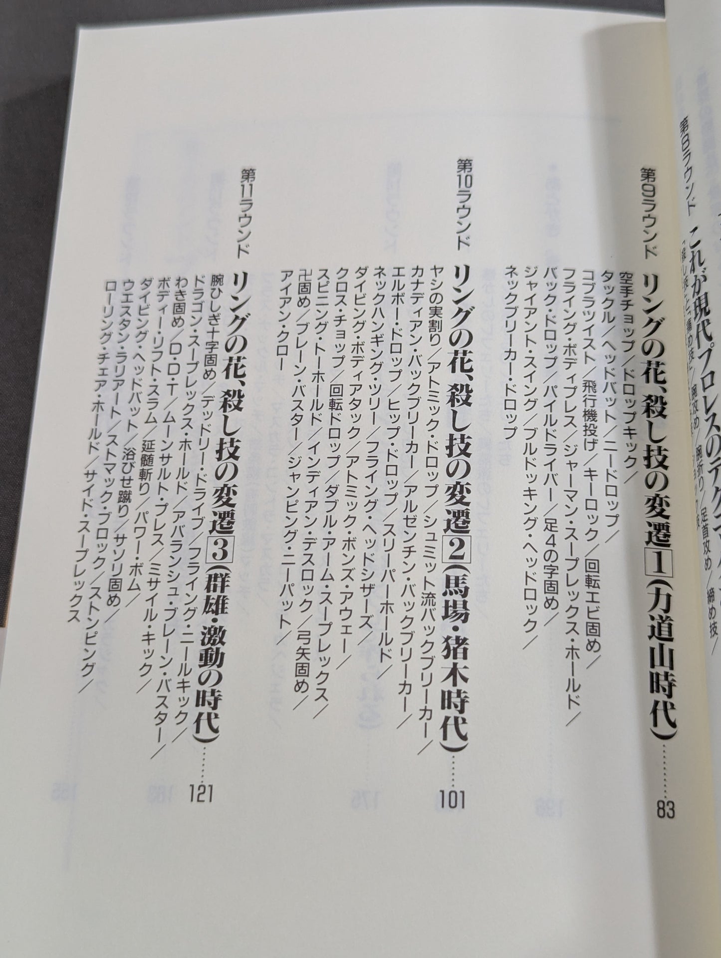 ザ・プロレス’90 ②ルール・技術編