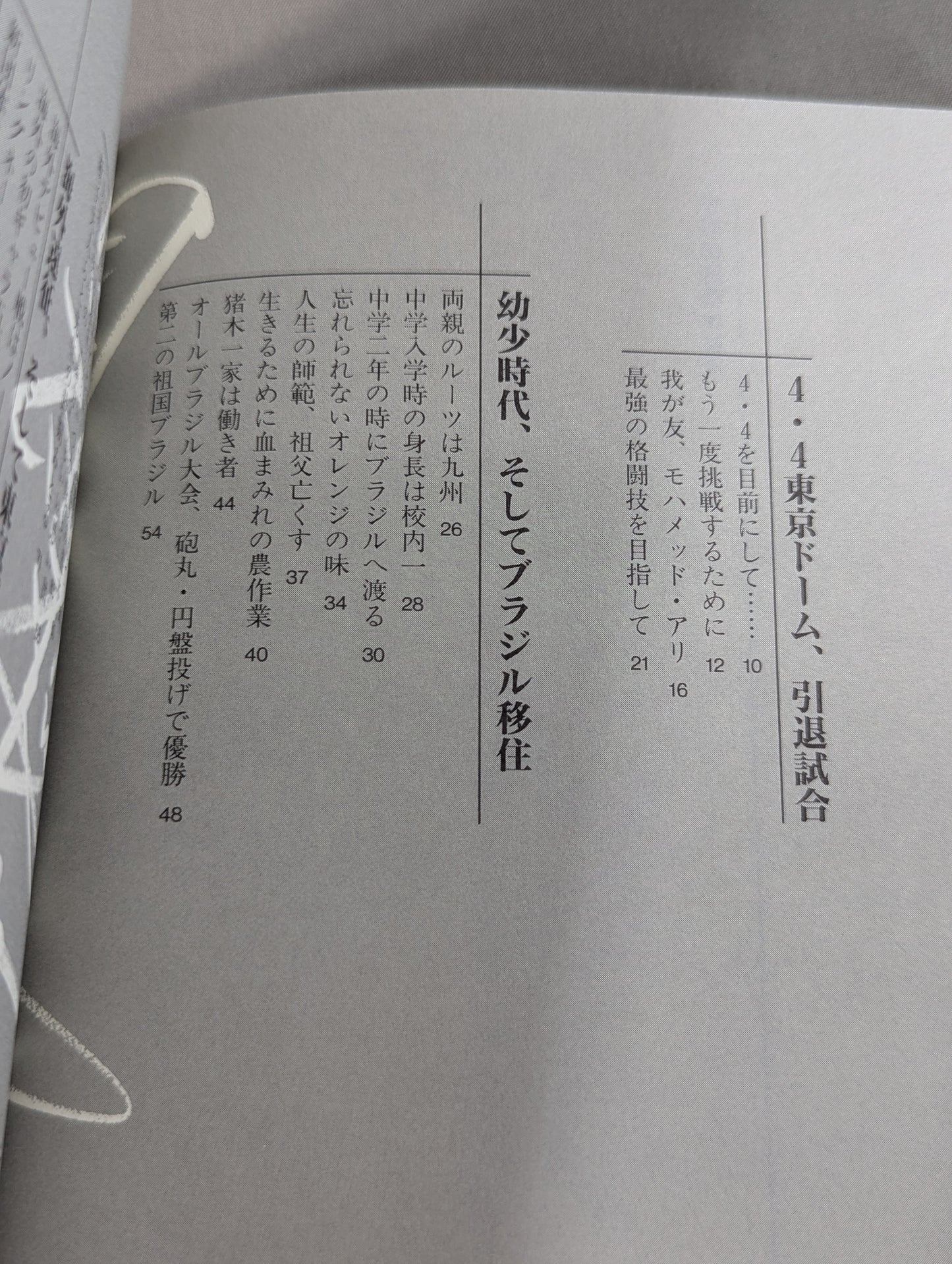 不滅の闘魂