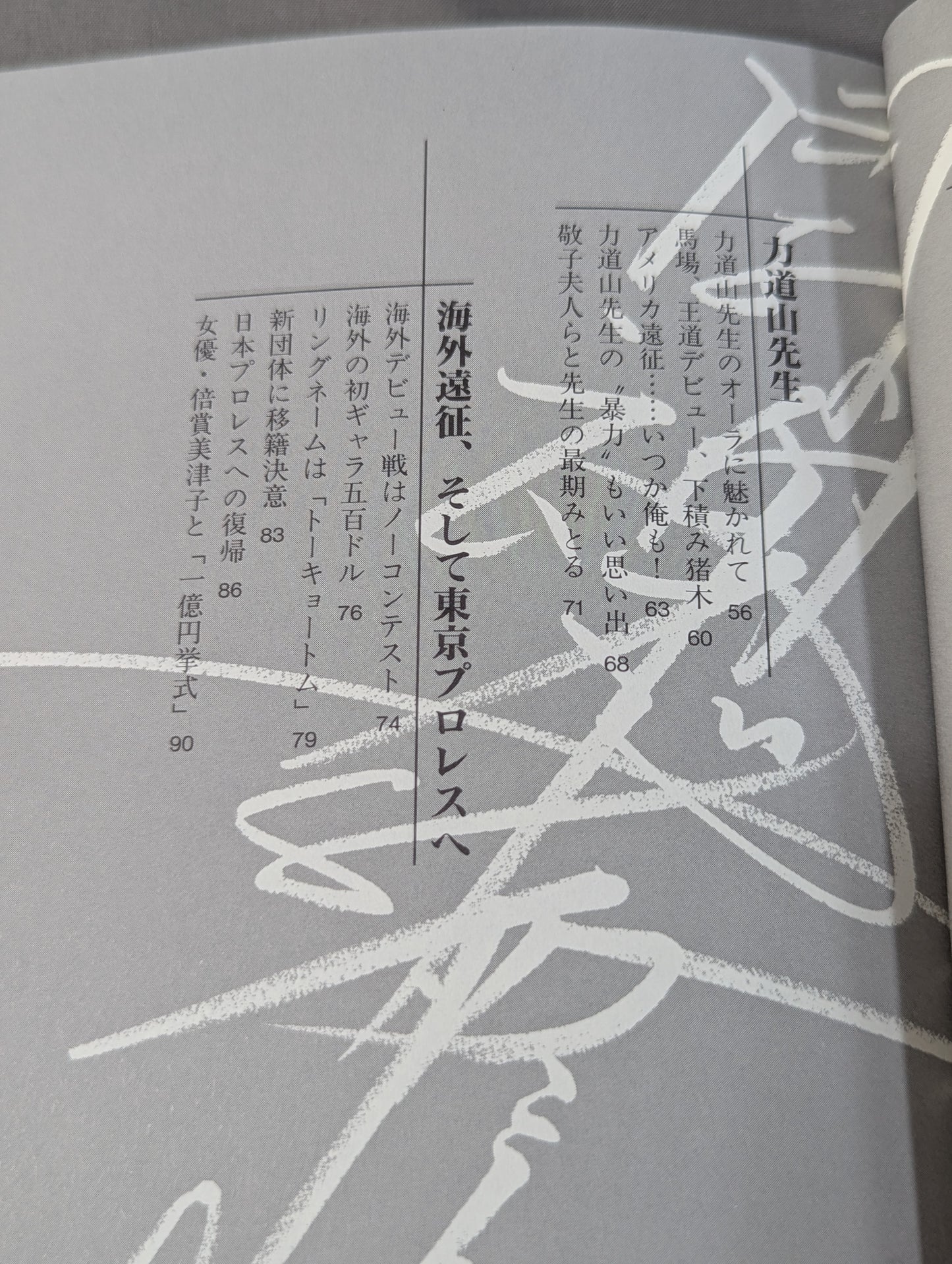 不滅の闘魂