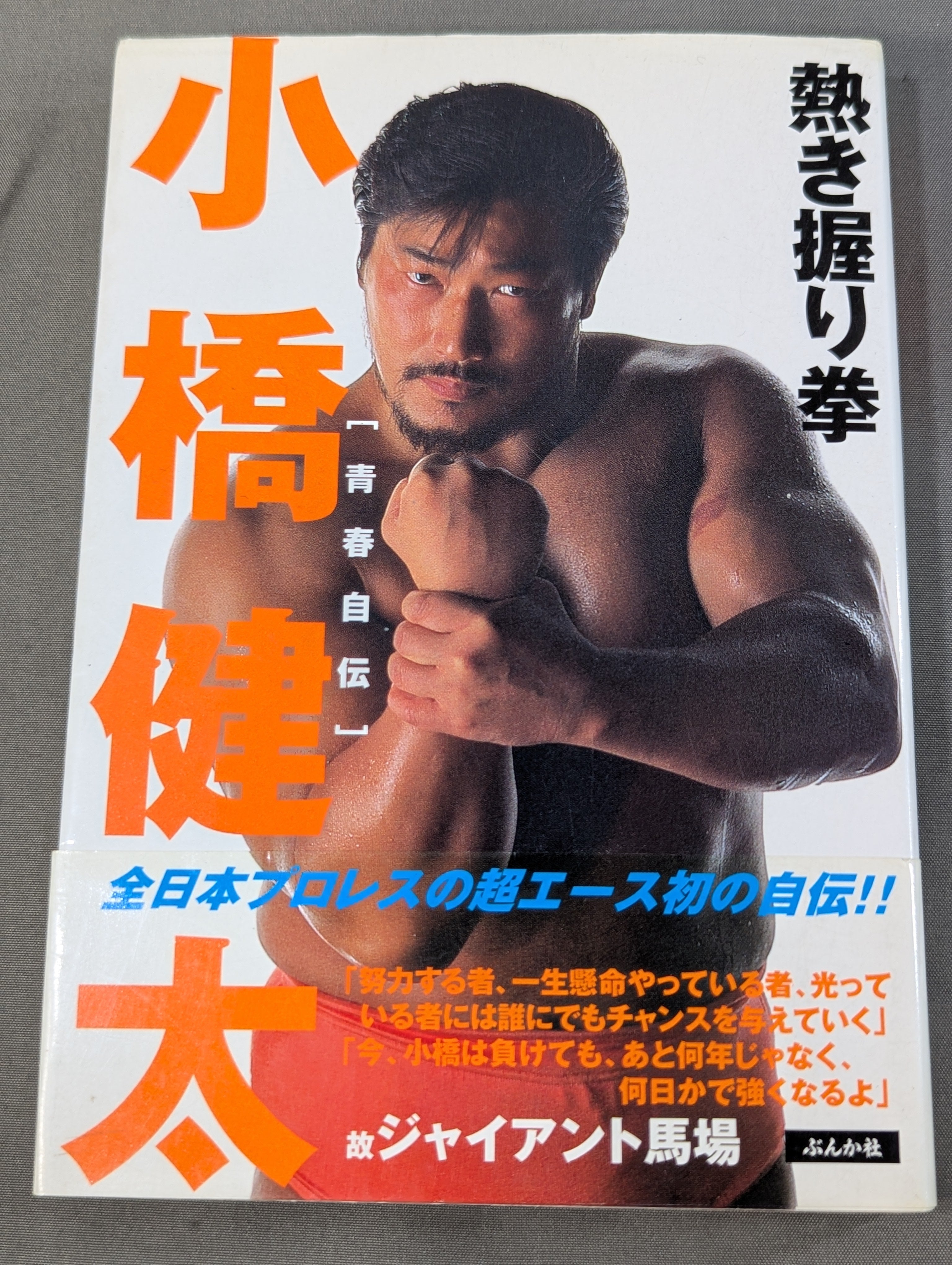 小橋健太 青春自伝 熱き握り拳 – 闘道館