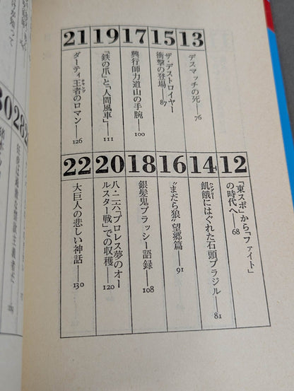 私、プロレスの味方です【最新版】金曜午後八時の論理
